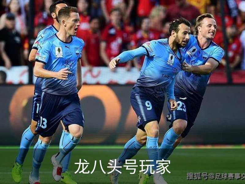 关于龙八头号玩家